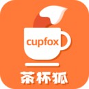 茶杯狐cupf