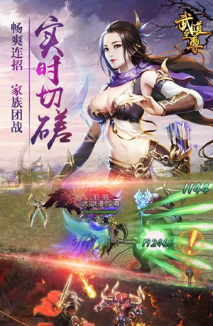 武道至尊h5